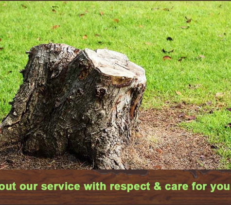 M & J Tree Surgeons. We carry out our service with respect & care for your property.