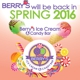 Berry's Ice Cream & Candy Bar