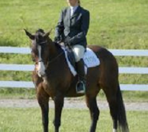 Westfield Equestrian Farm LLC - Dillsburg, PA