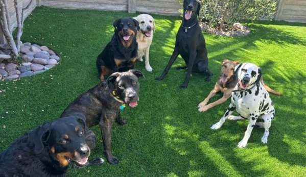 101 Dog Trainer - Oceanside, CA