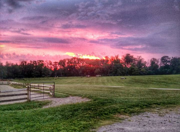 Tyddyn Du Farm - Cincinnati, OH