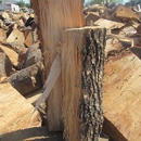 Firewood Free Delivery - Firewood