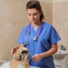 Black Hills Animal Hospital