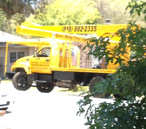 Your way Tree service - Tarzana, CA