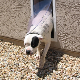 Hale Pet Door - Canon City, CO. Hale Wall Pet Door installed in stucco wall