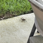 ClearDefense Pest Control