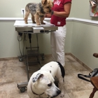 Rehoboth Animal Hospital