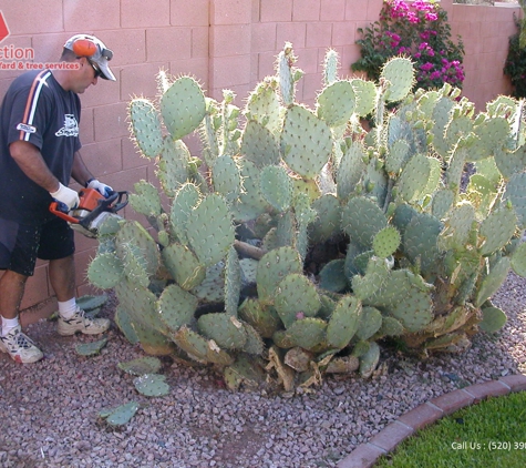 Action Tree Yard - Tucson, AZ