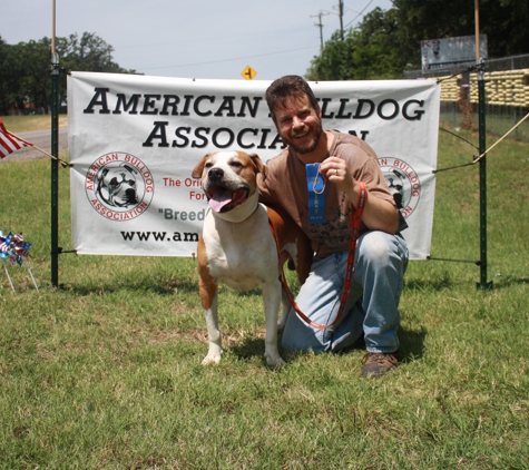 CORNERSTONE BULLDOGS AMERICAN BULLDOG - Cleburne, TX