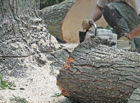 Chop Chop Tree - Kissimmee, FL