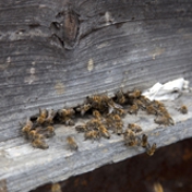 Gallery Image Number 3