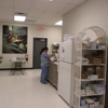 Brevard Spay/Neuter Clinic gallery