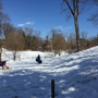 Rock Creek Pool