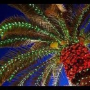 Mystic Lites - Holiday Lights & Decorations