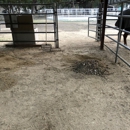 Cheyenne Horse Transportation - Horse Transporting