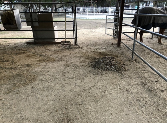 Cheyenne Horse Transportation - Leander, TX. We had to clean our stall, which was to be done daily, but Tom just didn’t do it.