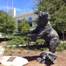 California Memorial Stadium - Stadiums, Arenas & Athletic Fields