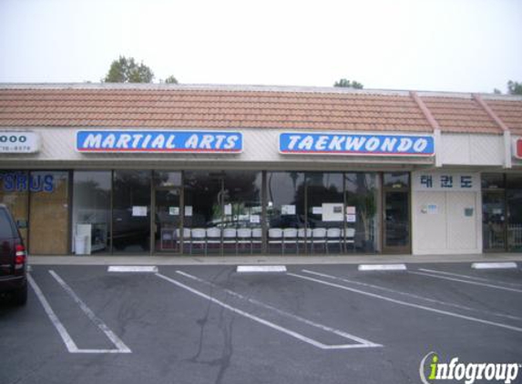 International Taekwondo College - West Hills, CA