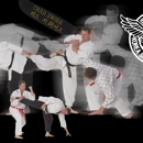 Panther City Hapkido - Martial Arts Instruction
