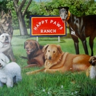Happy Paws Ranch..dog boarding