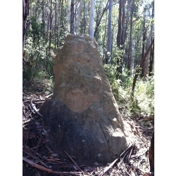 Gallery Image Number 3