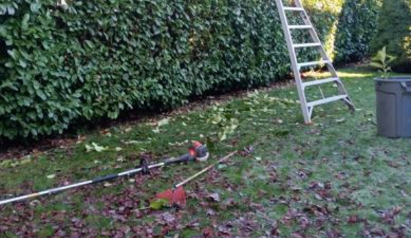 Alexa's Tree Service LLC - Vancouver, WA