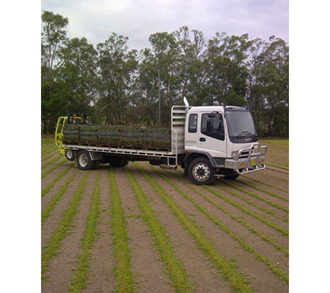Sammut Turf Supplies - Freemans Reach, NSW