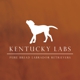 Kentucky Labs