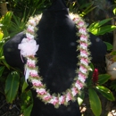 Lani's Leis - Hair Supplies & Accessories