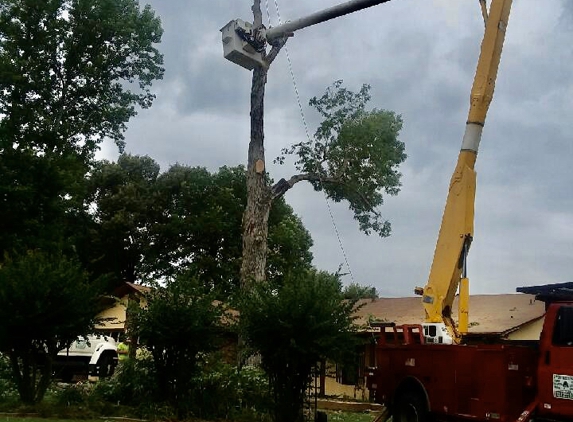 Afford Tree Service - Jacksonville, AR