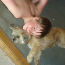 Smoky Mountain Pets Supply - Pet Grooming
