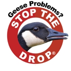 Goose Solutions