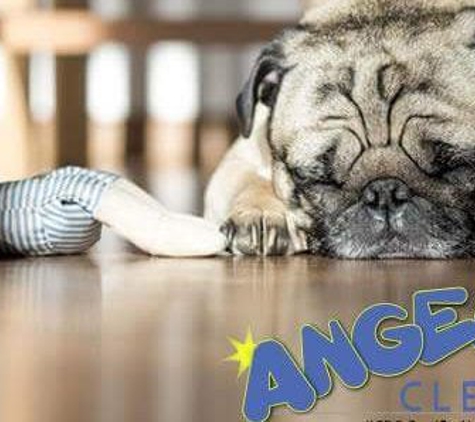 Angelo's Cleaning - Phoenixville, PA