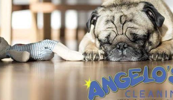 Angelo's Cleaning - Phoenixville, PA