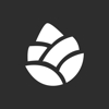 Pinecode Creative Logo
