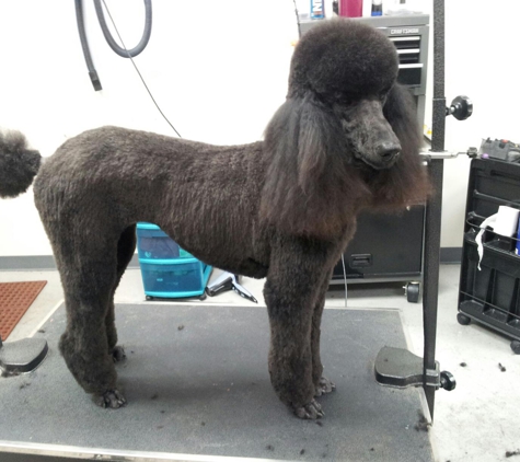 Brittney's Grooming - Fresno, CA