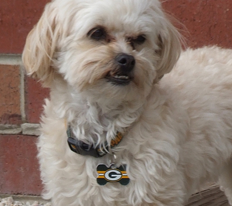 Central Bark Doggie Day Care - Oak Creek, WI