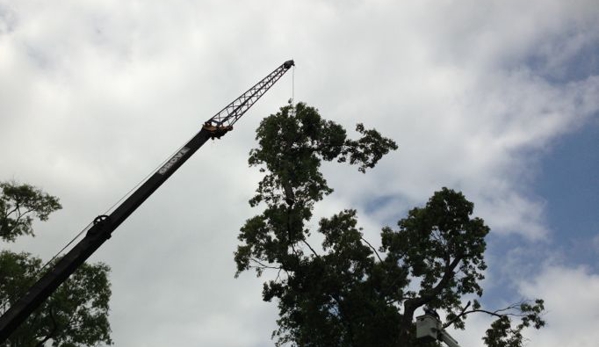 Tiger Tree Services,LLC. - Greenwell Springs, LA