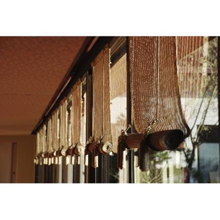 Curtain Force NQ