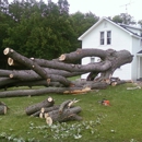 Zach's Tree & Stump Removal - Tree Service