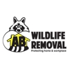 A B Wildlife Removal gallery