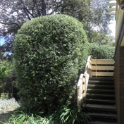 Gallery Image Number 2
