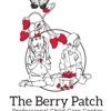 The Berry Patch Pro Child Care Center gallery