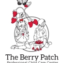 The Berry Patch Pro Child Care Center - Child Care