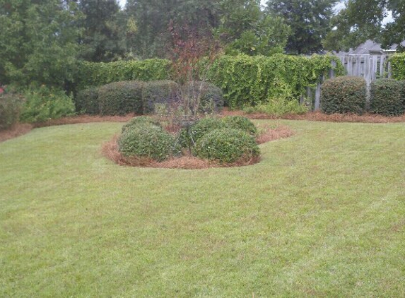 Dennis' Lawn Care, - North Augusta, SC