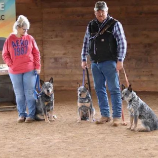 Marvin Pierce Dog Teacher - Sherwood, OR