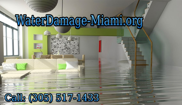 Water Damage - Hillsboro, MO