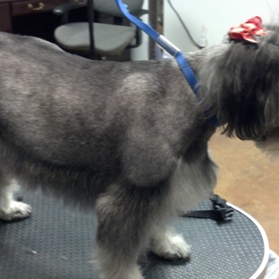 South Paw's Grooming of Edmond Oklahoma - Edmond, OK