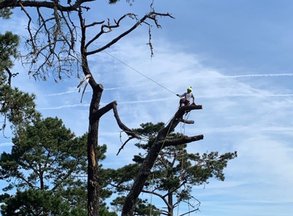 Specialty Tree Service inc