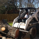 Apple Tree Service - Tree Service